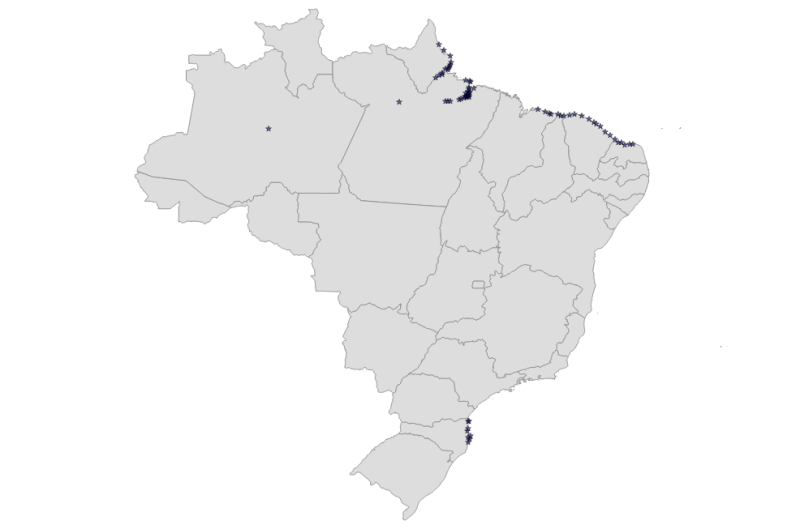 visão geral