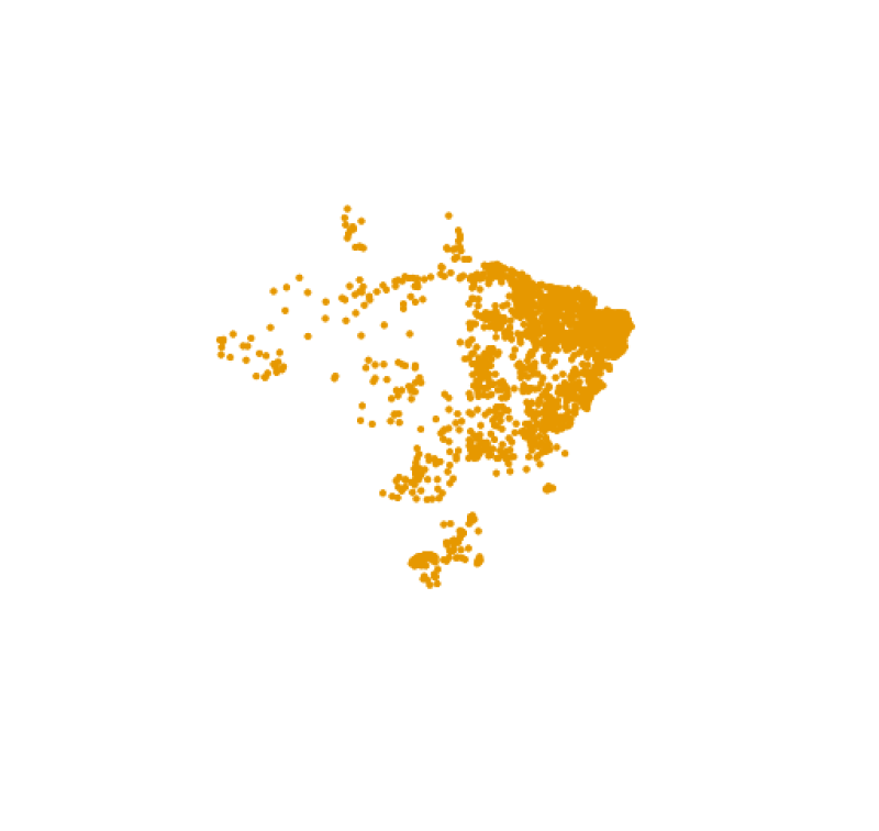visão geral