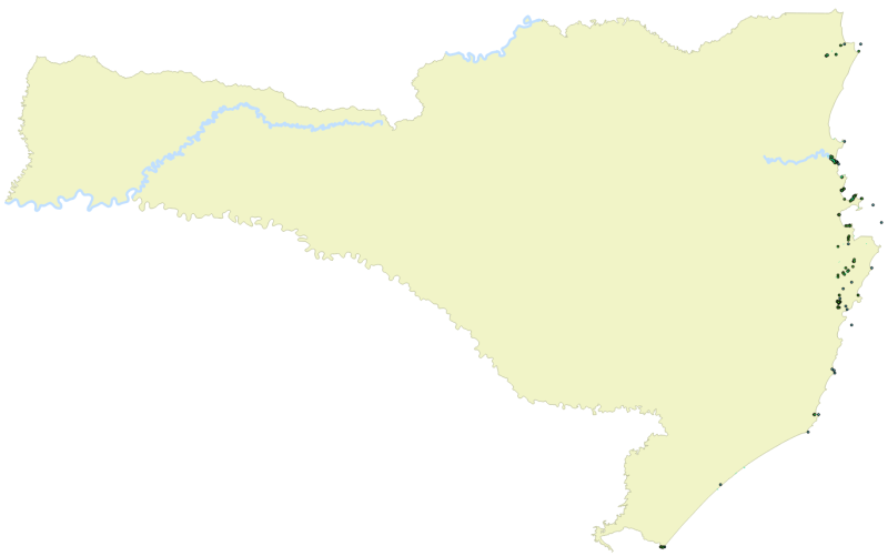 visão geral