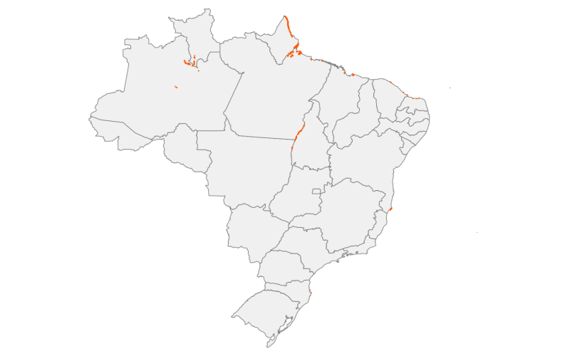 visão geral