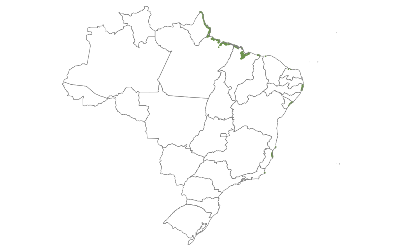visão geral