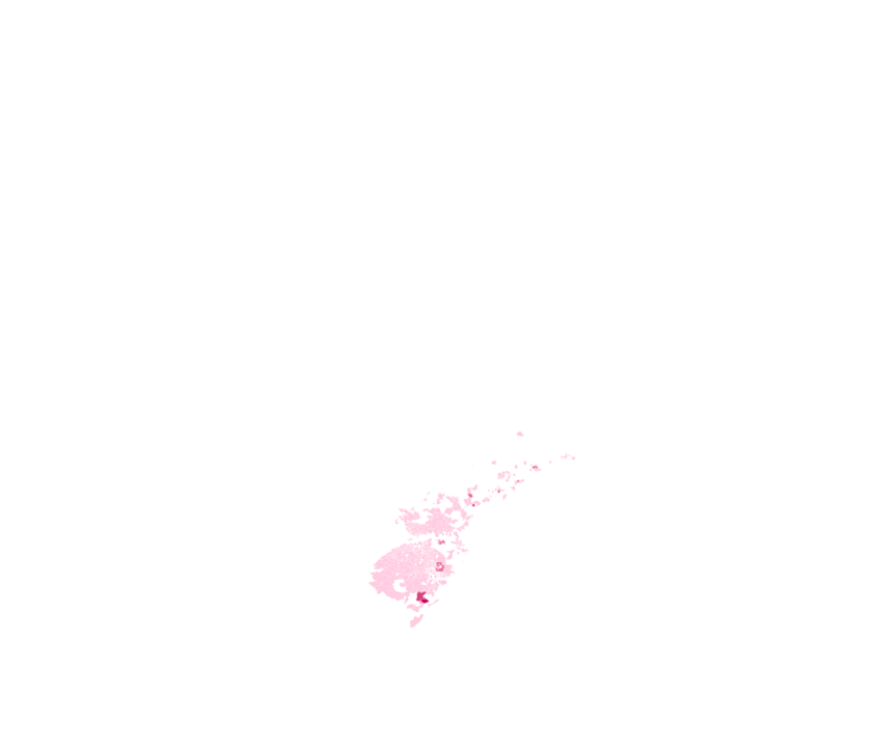 visão geral